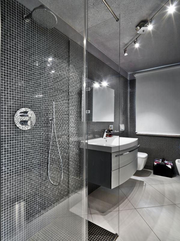 Elegant Shower with Rainhead